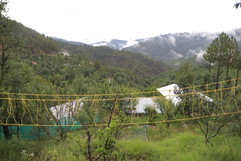 _MG_6647.JPG