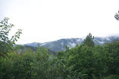 _MG_6629.JPG